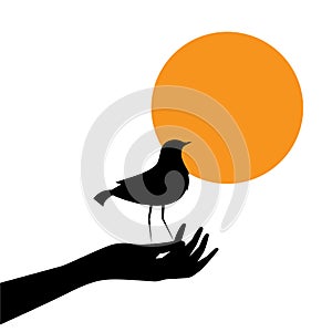 Hand holding bird on sunset, vector. Hand illustration and bird silhouette isolated on white background. Artwork
