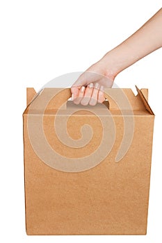 Hand holding blank cardboard box isolated on white background