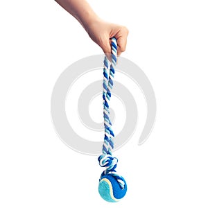 Hand holding a blue color dog rope.