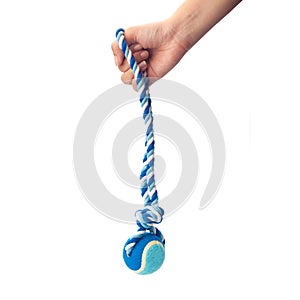 Hand holding a blue color dog rope.