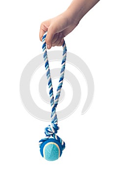 Hand holding a blue color dog rope.