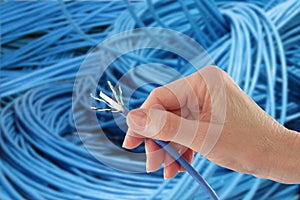 Hand Holding Blue Network Cable