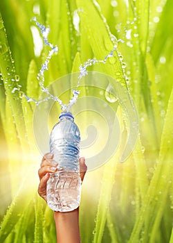 Hand holding a bottle of water
