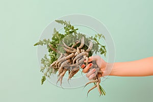 Hand holding a bouquet of centipedes created with Generative AI technology