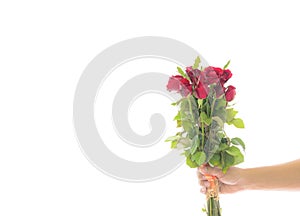 Hand holding bouquet of red roses