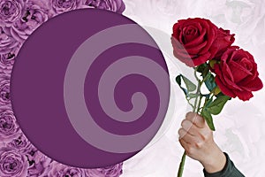 hand holding a bouquet of roses on purple circle on purple roses flower background, nature, love, valentine, fashion, gift, copy