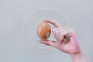 Hand holding a brown egg on a light background