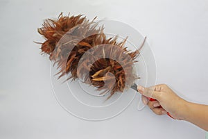 Hand holding brown feather duster.