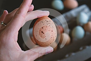 Hand holding brown speckled egg with carton in background