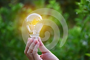 Hand holding bulb in nature on green background.