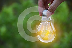 Hand holding bulb in nature on green background.