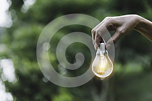 Hand holding bulb in nature on green background