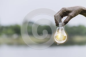 Hand holding bulb in nature on green background