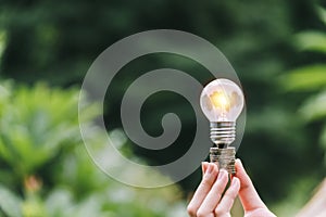 Hand holding bulb in nature on green background