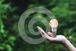 Hand holding bulb in nature on green background