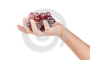 Hand holding of bunch of crimson red grapes