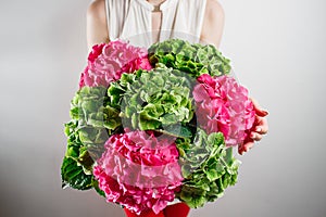 Hand holding a bunch green and pink color hydrangea white background. bright colors. cloud. 50 shades