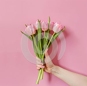 Hand Holding Bunch of Pink Tulips