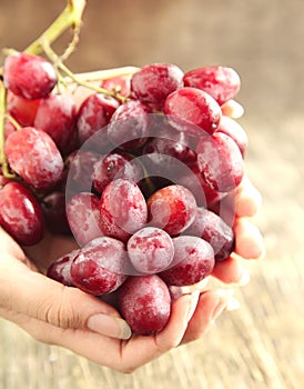 Hand Holding a Bunch of Red Grapes.