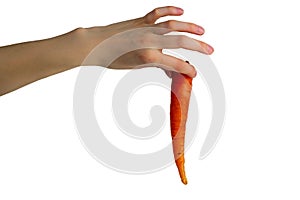 Hand holding carrot isolated on white background