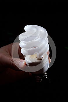 Hand holding cfl light-bulb lamp