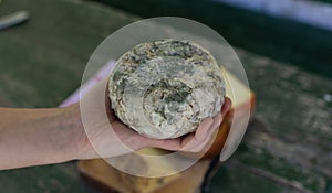 Hand holding a cheese with a moldy rind