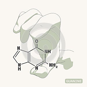 Hand holding chemical molecular formula of guanine - DNA and RNA nitrogen base