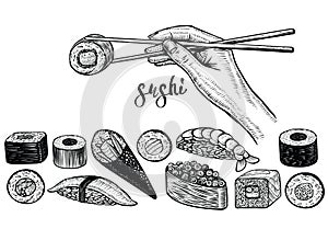 Hand holding chopsticks and sushi roll, vector line drawing. Japanese food species: maki, nigiri, gunkan, temaki.