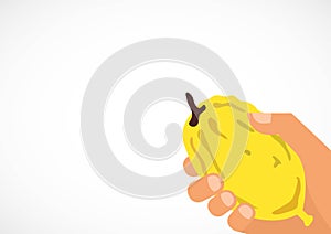 Hand holding a citron, Etrog in Hebrew. photo