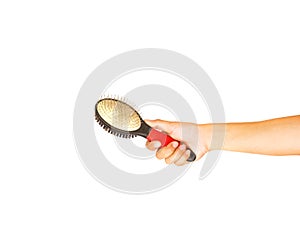 Hand holding comb or Slicker brushes for pet grooming