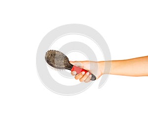 Hand holding comb or Slicker brushes for pet grooming. photo