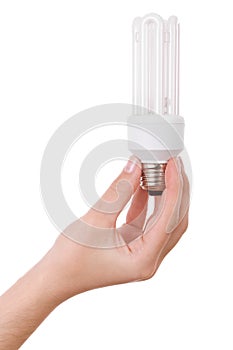 Hand holding compact fluorescent light bulb