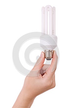 Hand holding compact fluorescent light bulb