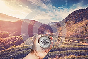 Hand holding compass nad tea field and sunrise vintage in morning.