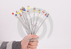 Hand holding computer network cables
