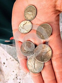 A hand holding croatian kuna coins. The kuna is the currency of Croatia, in use since 1994. It is subdivided into 100 lipa. photo
