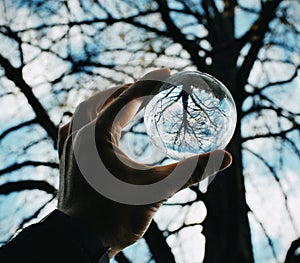 Hand holding crystal lens ball reflecting beautiful tree shape in the forest. Glass photography ball seasonal composition.