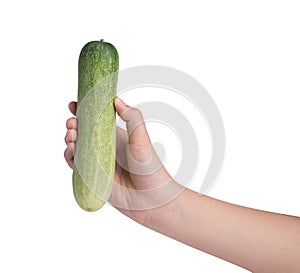 Hand holding cucumber on white background