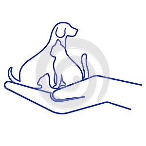 Hand holding a dog and a cat. Pet care concept
