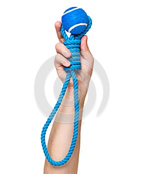 Hand with dog toy