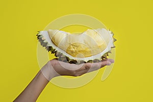 Hand holding durian peels. Fresh ripe durian meat with shell and thorn. King of Thai fruits. Tropical and seasonal famous fruits