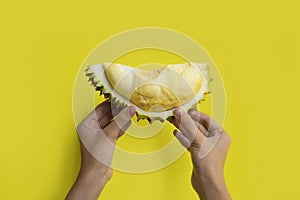 Hand holding durian peels. Fresh ripe durian meat with shell and thorn. King of Thai fruits. Tropical and seasonal famous fruits