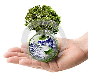 Hand Holding Earth with Tree