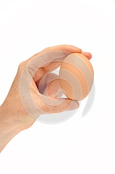 Hand holding an egg
