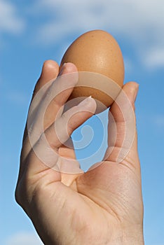 Hand Holding Egg