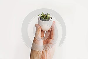 Hand holding egg shell with fresh sprouts on white background. Easter. Reuse, plastic free seedling