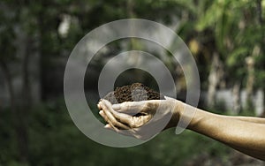 Hand holding fertile soil for plant to growing on nature background