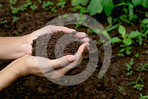 Hand holding fertile soil for plant to growing in nature concept