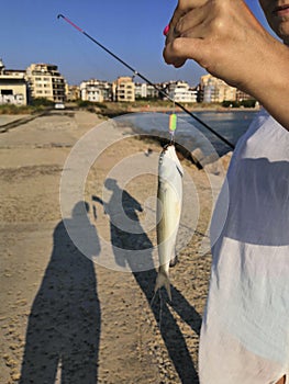 Hand holding a fish caught on a fishing line in lake