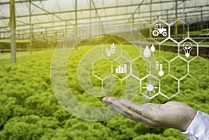 A hand holding a floating icon with a blurry background of green house farm.Concept of smart agriculture and modern technology